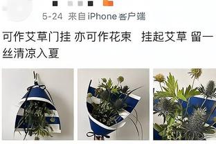 德媒：狼堡和波鸿将球迷扔到球场内进行抗议的网球收集后捐出